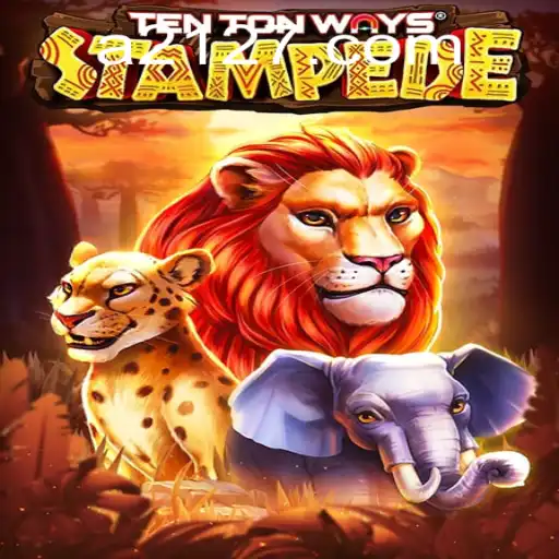 Exploring the Dynamic World of TenTonWaysStampede and the Influence of 2127.com